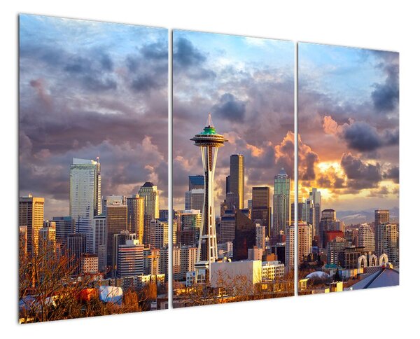 Panorama města - obrazy (120x80cm)