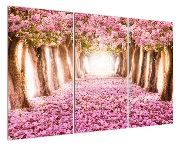 Obraz aleje stromů (120x80cm)