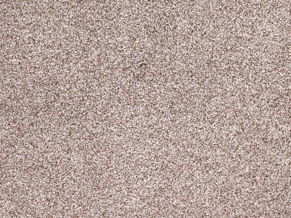 Betap koberce Metrážový koberec Dalesman 62 - Bez obšití cm
