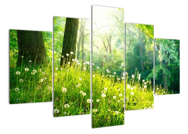 Moderní obrazy přírody (150x105cm)