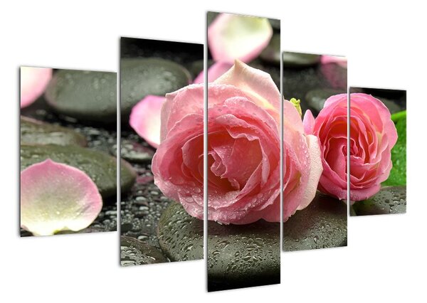 Obraz růže (150x105cm)