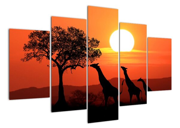 Obraz žirafy při západu slunce (150x105cm)