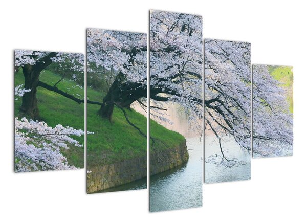 Obraz kvetoucích stromů (150x105cm)