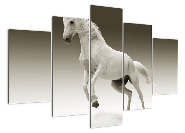 Obrazy bílého koně (150x105cm)