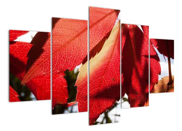 Obraz červených listů (150x105cm)