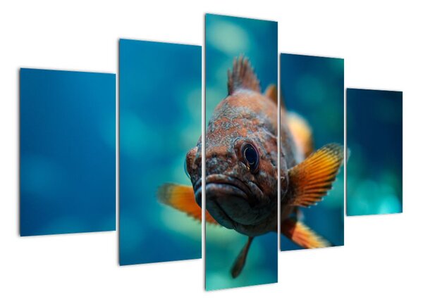 Obraz - ryba (150x105cm)