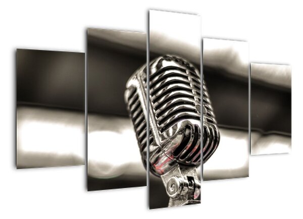 Obraz mikrofonu (150x105cm)