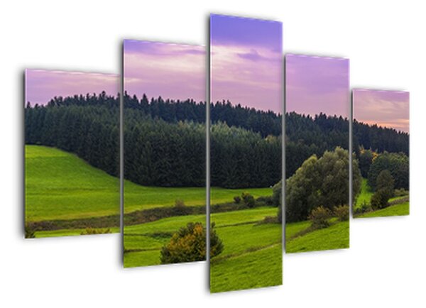 Obraz panorama krajiny (150x105cm)