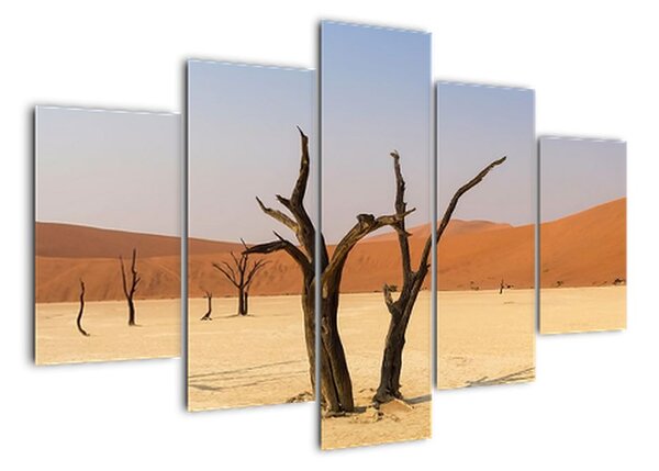 Obraz pouště (150x105cm)
