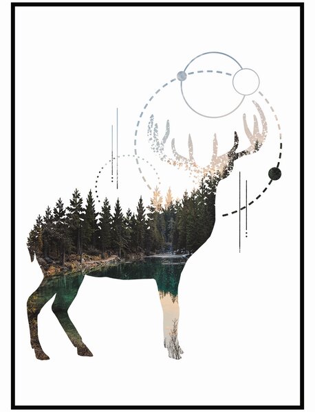 Plakát Jelen a jezero Rozměr plakátu: A4 (21 x 29,7 cm)