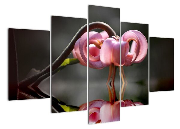 Obraz květiny (150x105cm)