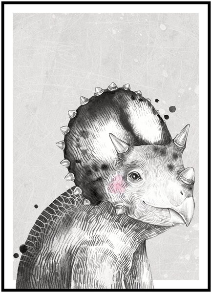 Plakát Malý Triceratops Rozměr plakátu: 30 x 40 cm, Varianta Triceratopse: Triceratops