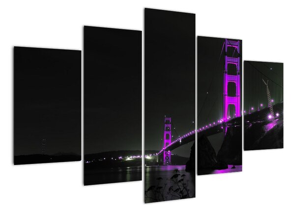 Golden Gate Bridge - obrazy (150x105cm)