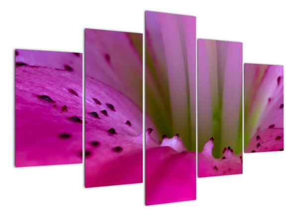 Detail květu - moderní obraz (150x105cm)