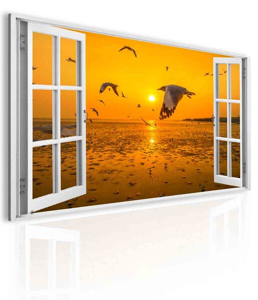 3D obraz okno s racky Velikost (šířka x výška): 30x20 cm