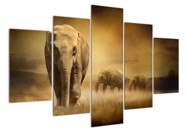 Obraz slona (150x105cm)