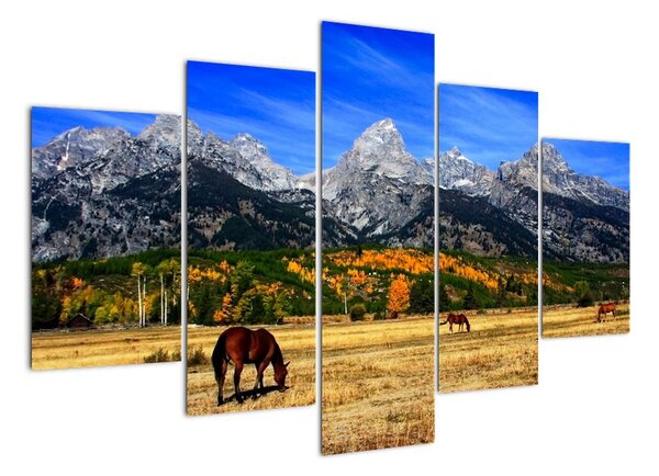 Panorama krajiny - obraz (150x105cm)