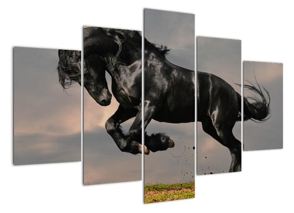 Černý kůň, obraz (150x105cm)
