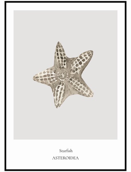 Plakát Starfish Rozměr plakátu: A4 (21 x 29,7 cm)