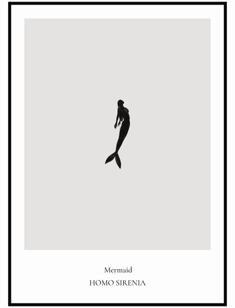 Plakát Mermaid Rozměr plakátu: 50 x 70 cm