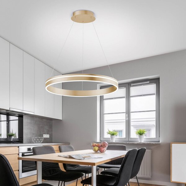 Q-Smart-Home Paul Neuhaus Q-VITO LED závěsné světlo, 1 kruh, stmívatelný, Mosaz / zlato, Obývací pokoj / jídelna, kov, Moderní