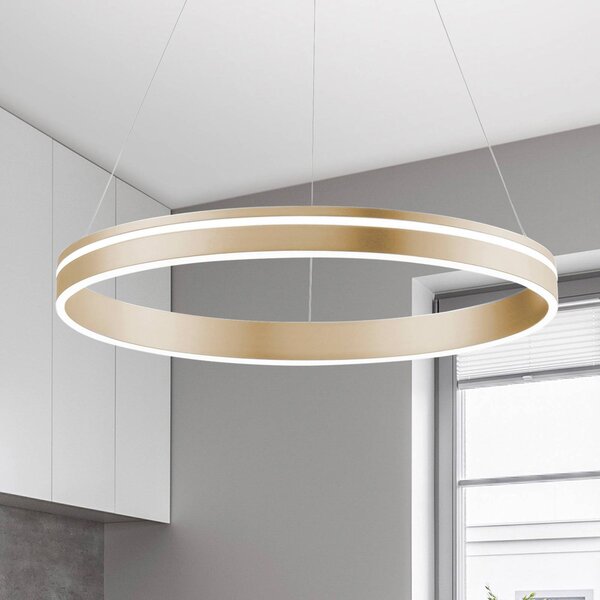 Q-Smart-Home Paul Neuhaus Q-VITO LED závěsné světlo, 1 kruh, stmívatelný, Mosaz / zlato, Obývací pokoj / jídelna, kov, Moderní