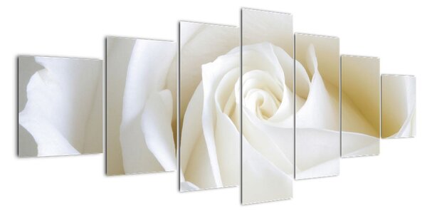 Obraz bílé růže (210x100cm)
