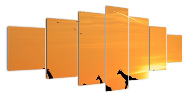 Moderní obraz - žirafy (210x100cm)