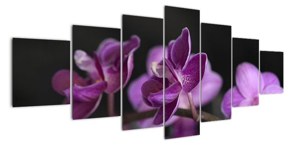 Obraz květů (210x100cm)