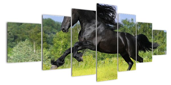 Obraz koně (210x100cm)