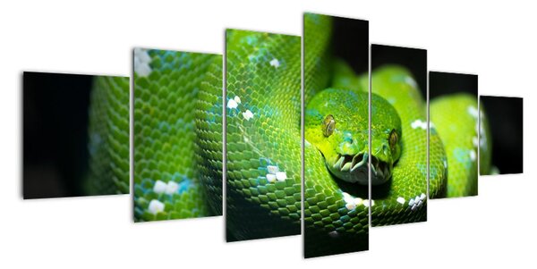 Obraz zvířat - had (210x100cm)