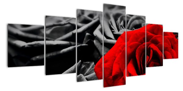 Obraz červené růže (210x100cm)