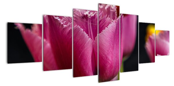 Tulipány - obrazy (210x100cm)