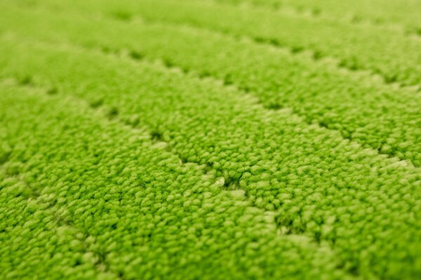 Koupelnový kobereček Sara Green světle zelený, vlny
