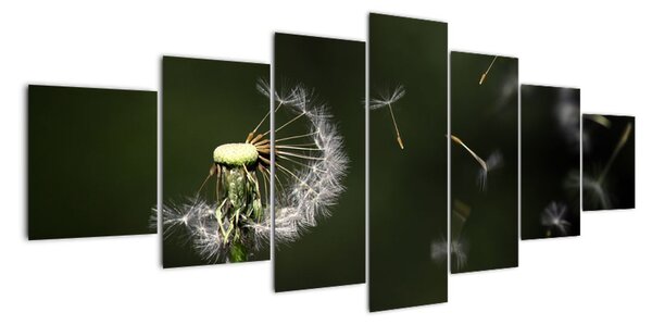 Obraz - chmýří od pampelišky (210x100cm)