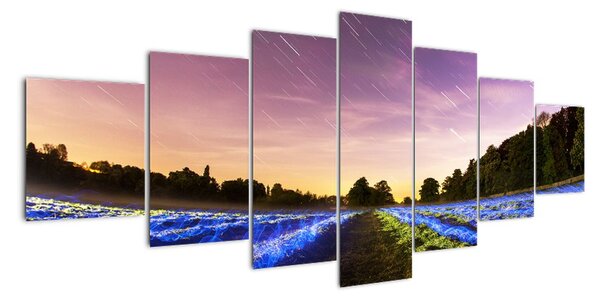 Obraz magické louky (210x100cm)