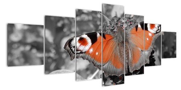 Oranžový motýl - obraz (210x100cm)