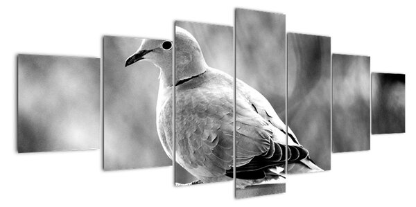 Černobílý obraz ptáka (210x100cm)