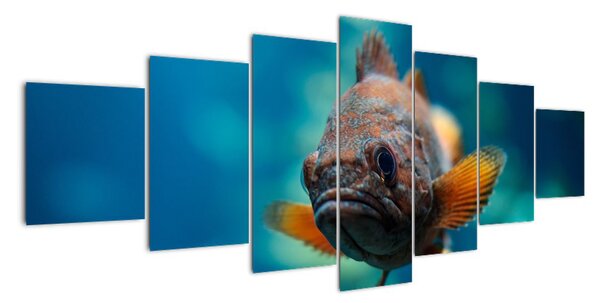 Obraz - ryba (210x100cm)