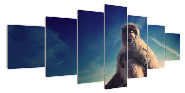 Obraz opice - obrazy zvířat (210x100cm)