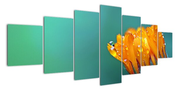 Obraz oranžového květu (210x100cm)