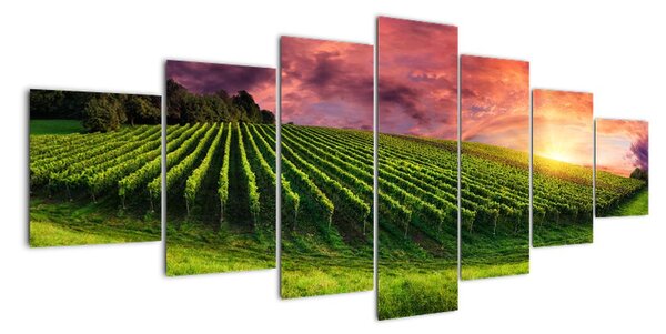 Obraz krajiny na zeď (210x100cm)
