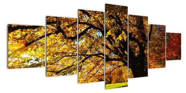 Obraz podzimní krajiny (210x100cm)