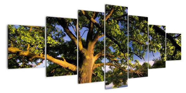Obraz stromu (210x100cm)