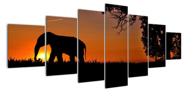 Obraz slona v přírodě (210x100cm)
