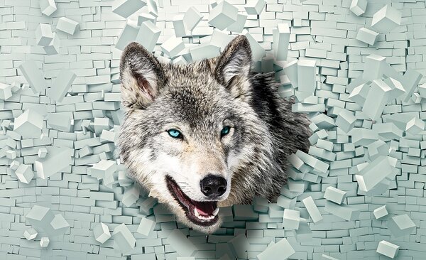 3D Fototapeta Vlk vlies 208 x 146 cm