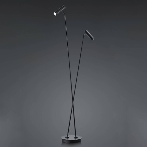 HELL LED stojací lampa Tom, 2 zdroje, černá, stmívatelný, Černá, Obývací pokoj / jídelna, Nerezová ocel, Moderní