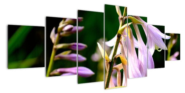 Květiny - obraz (210x100cm)
