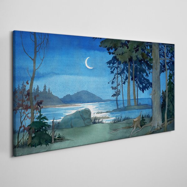 Obraz na plátně Obraz na plátně Malování lesní mořská noc