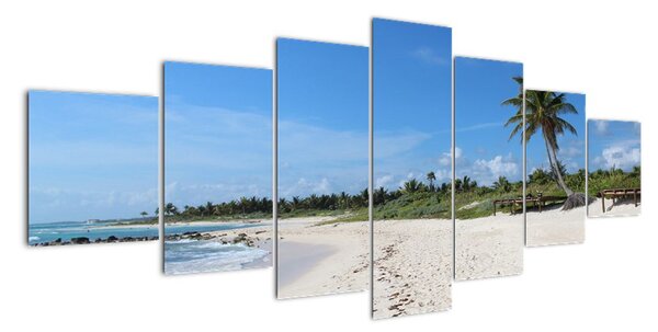 Exotická pláž - obraz (210x100cm)